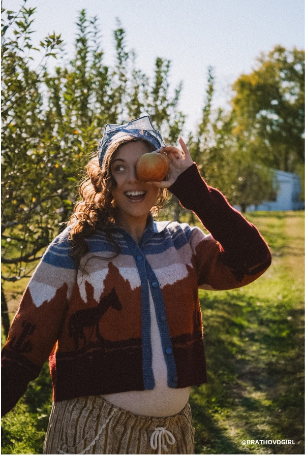 Sierra Sunset Sweater Cardigan - Blue